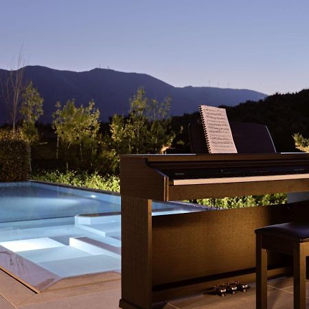 Drallos Luxury Villa اليكاناس المظهر الخارجي الصورة