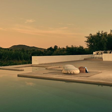 Drallos Luxury Villa اليكاناس المظهر الخارجي الصورة
