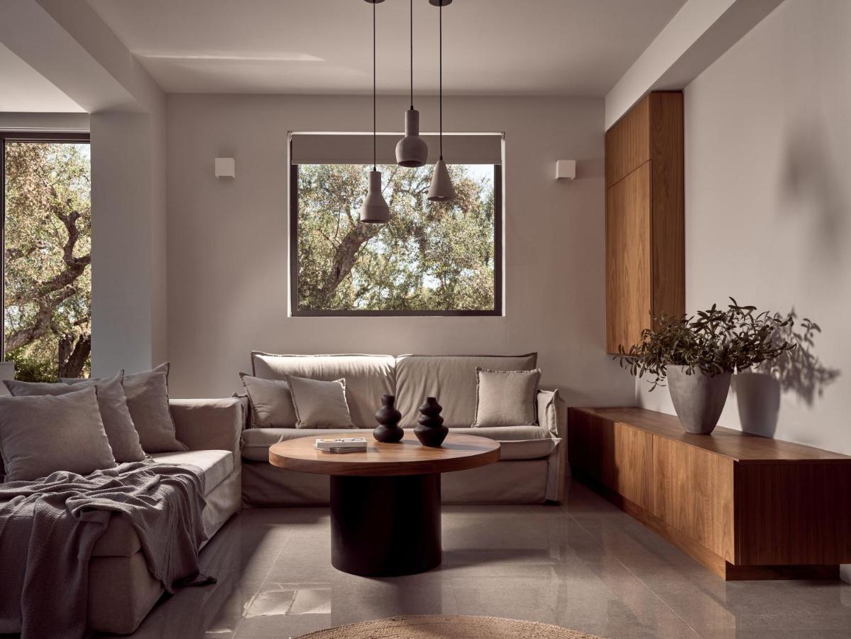 Drallos Luxury Villa اليكاناس المظهر الخارجي الصورة