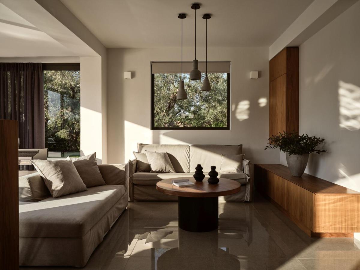 Drallos Luxury Villa اليكاناس المظهر الخارجي الصورة
